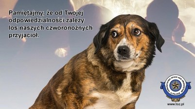 Apel Towarzystwa Opieki nad Zwierzętami