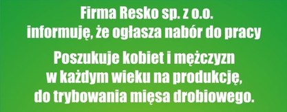 Oferta pracy