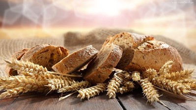 Polsko-Niemieckie Święto Plonów Gminy Węgorzyno 2016
